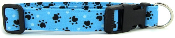 Aqua Heart Paws Dog Collar