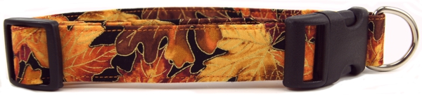 Autumn Leaves Dog Collar