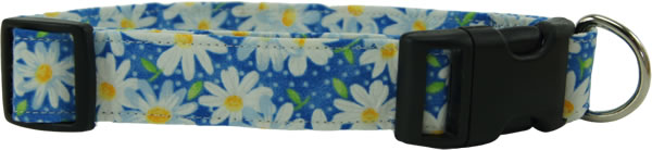Blue Daisies Dog Collar