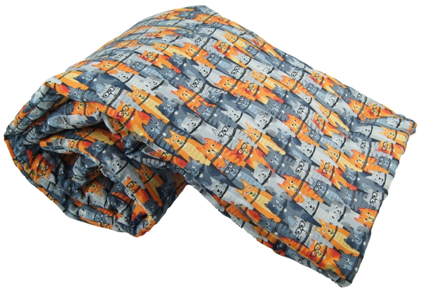 Smart Cats Pet Blanket