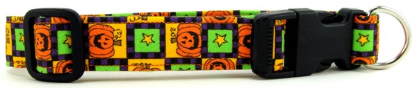 Pumpkin Squares Dog Collar